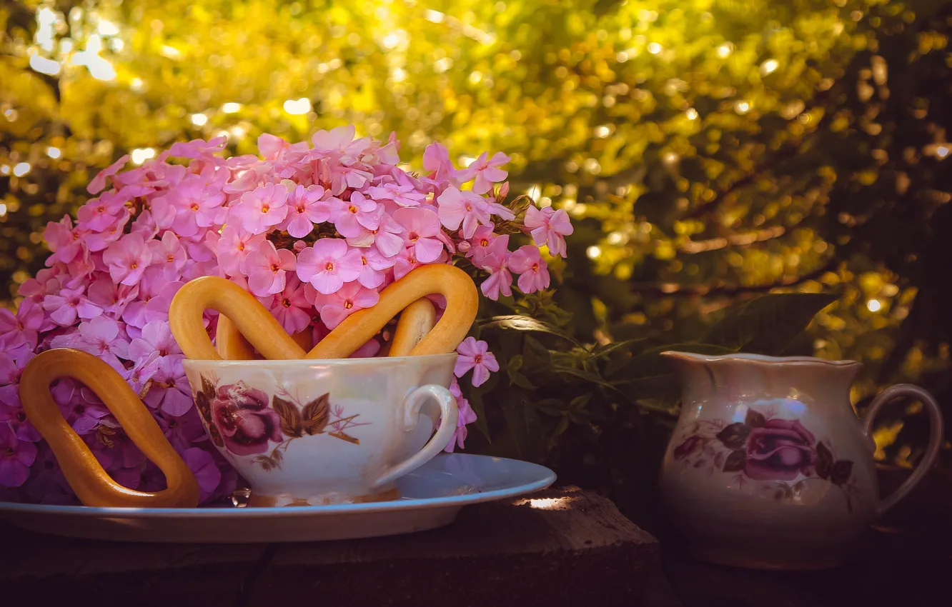 Фото обои цветы, природа, чашка