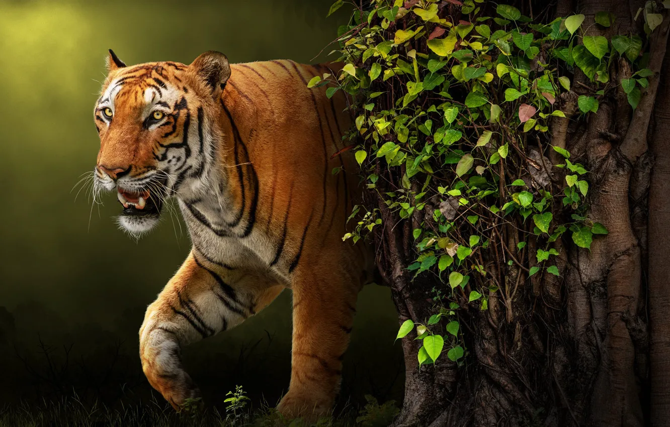 Фото обои природа, тигр, животное, хищник, арт, зверь