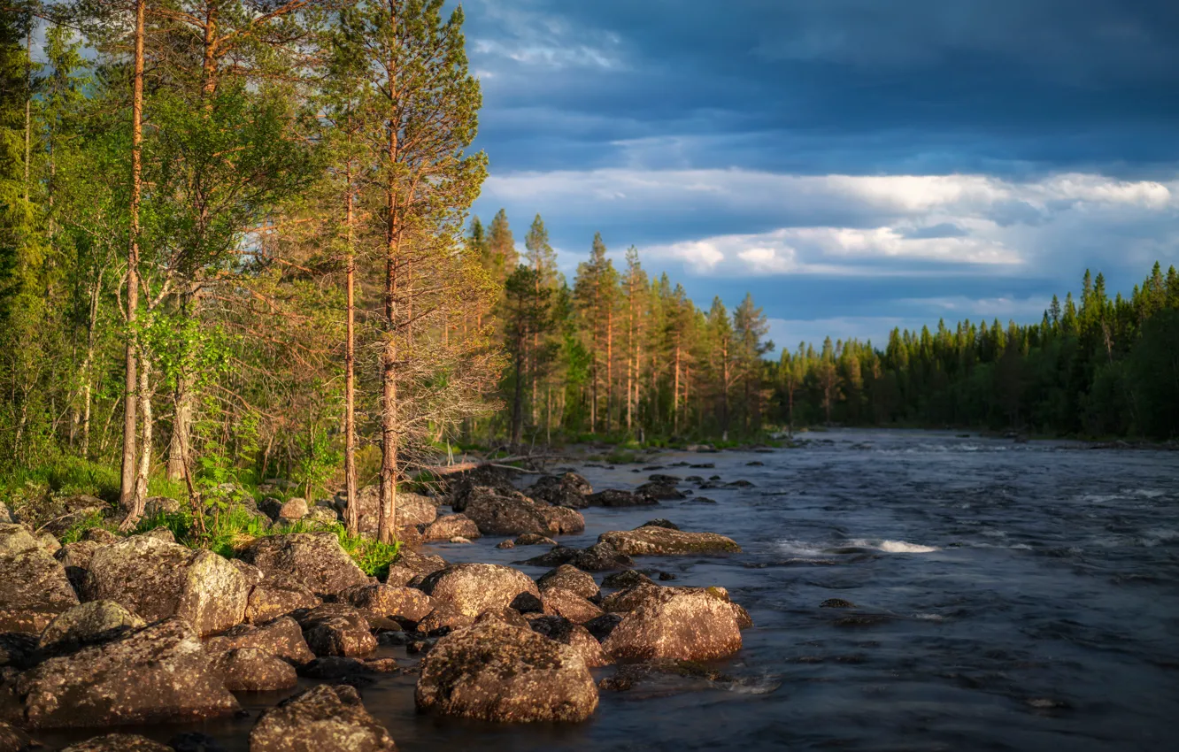 Фото обои лес, солнце, облака, деревья, река, камни, Швеция, боке