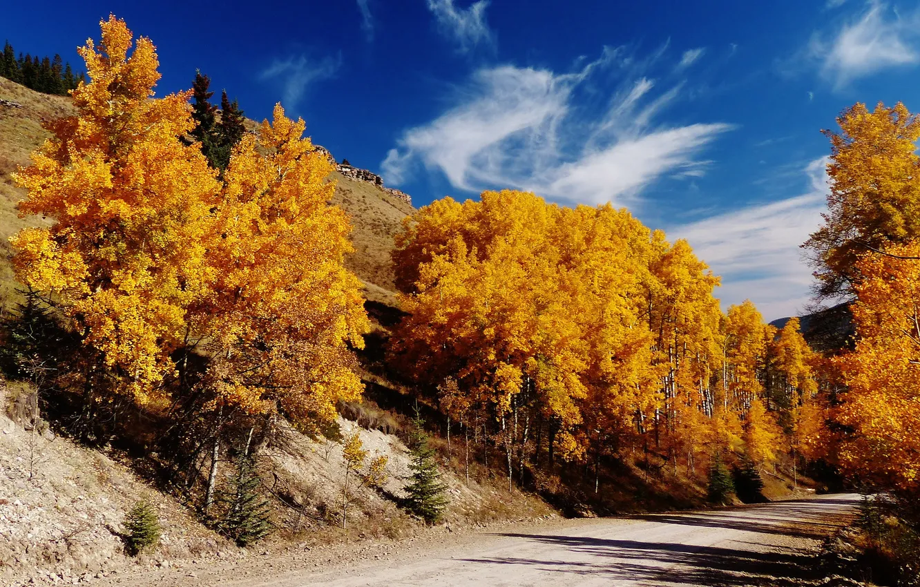 Фото обои дорога, осень, небо, деревья, горы, склон