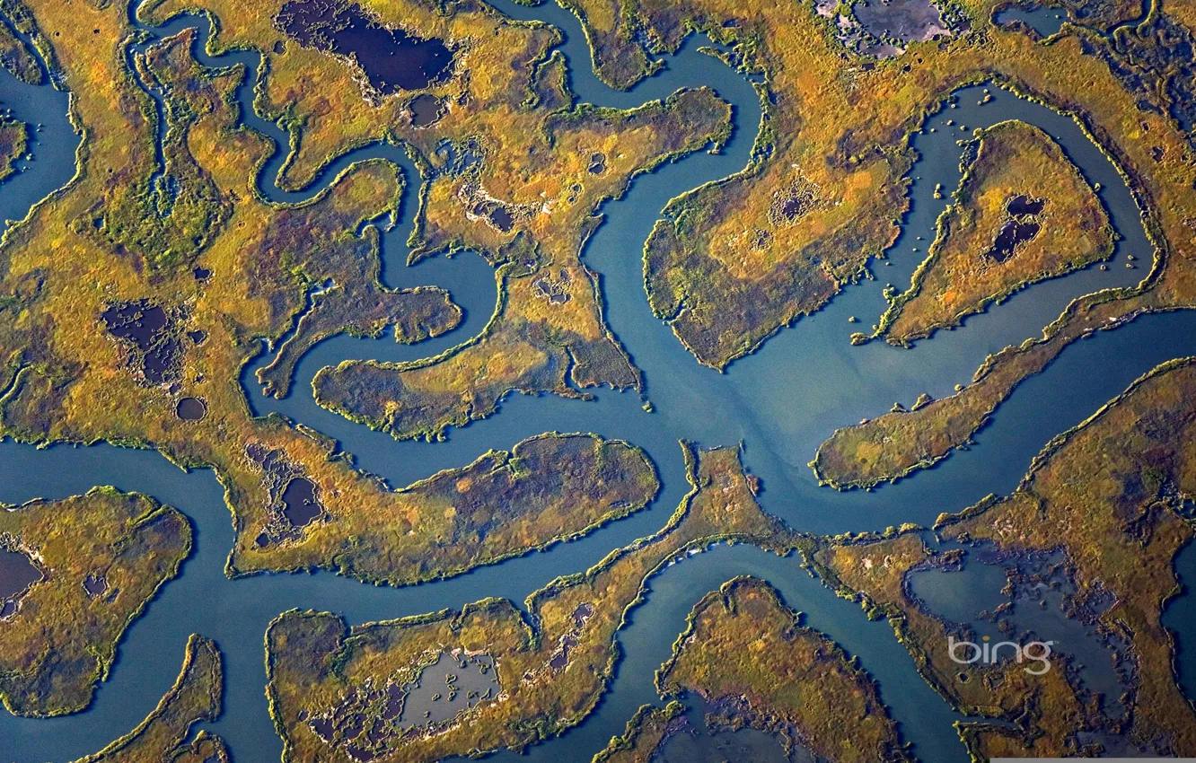 Фото обои река, остров, болото, США, New Jersey, Cape May Peninsula