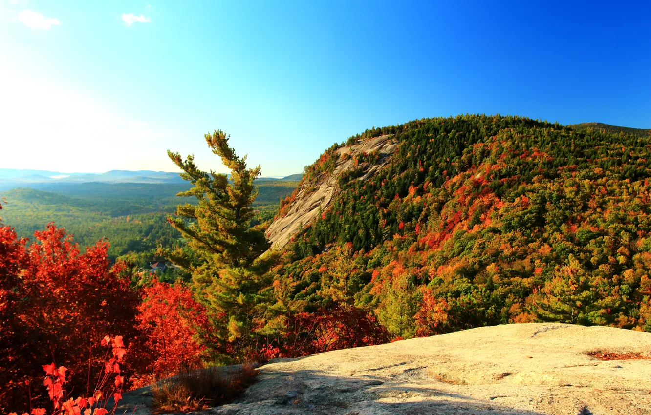 Фото обои Горы, Осень, Nature, Fall, Mountain, Autumn, Colors