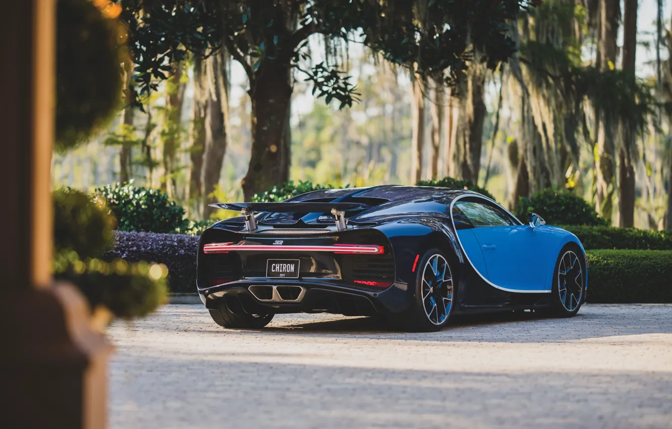 Фото обои Bugatti, Chiron, Bugatti Chiron