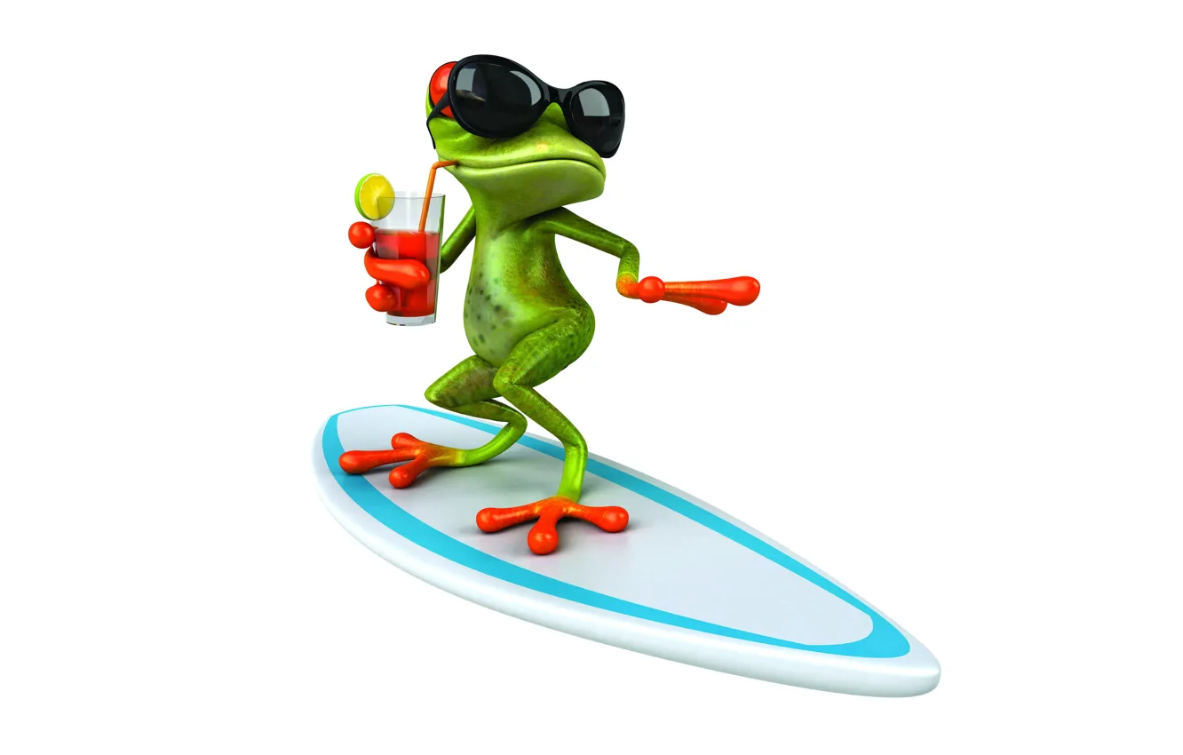 Фото обои лягушка, frog, surf, funny, glasses
