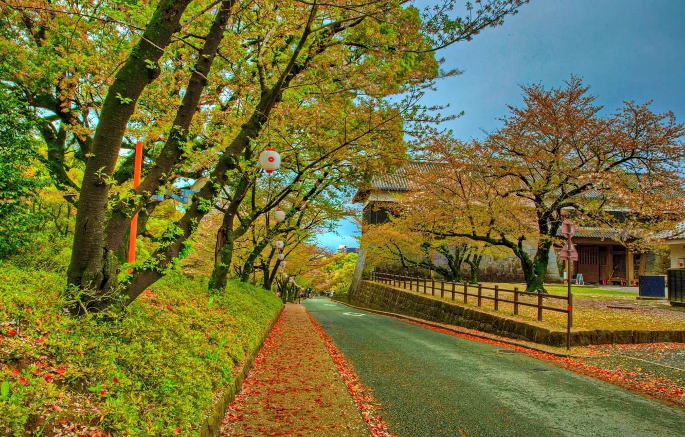 Фото обои осень, парк, фото, Japan, Kumamoto