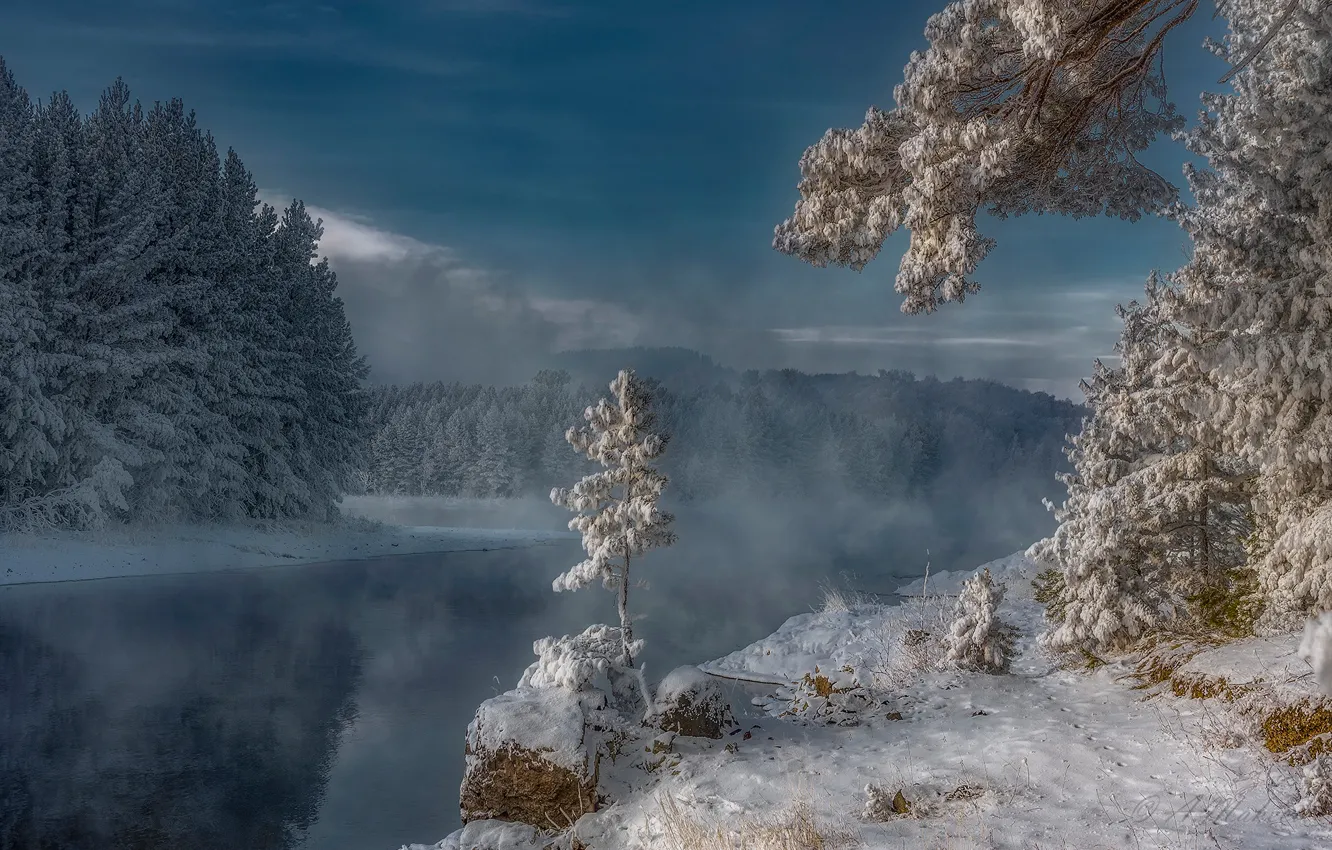 Фото обои зима, снег, деревья, река, мороз, Россия, Сибирь, Енисей