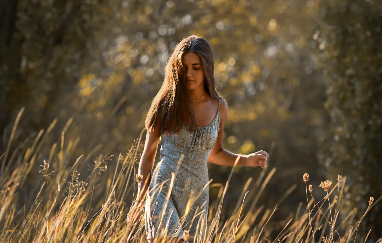 Фото обои трава, девушка, солнце, деревья, модель, портрет, макияж, фигура