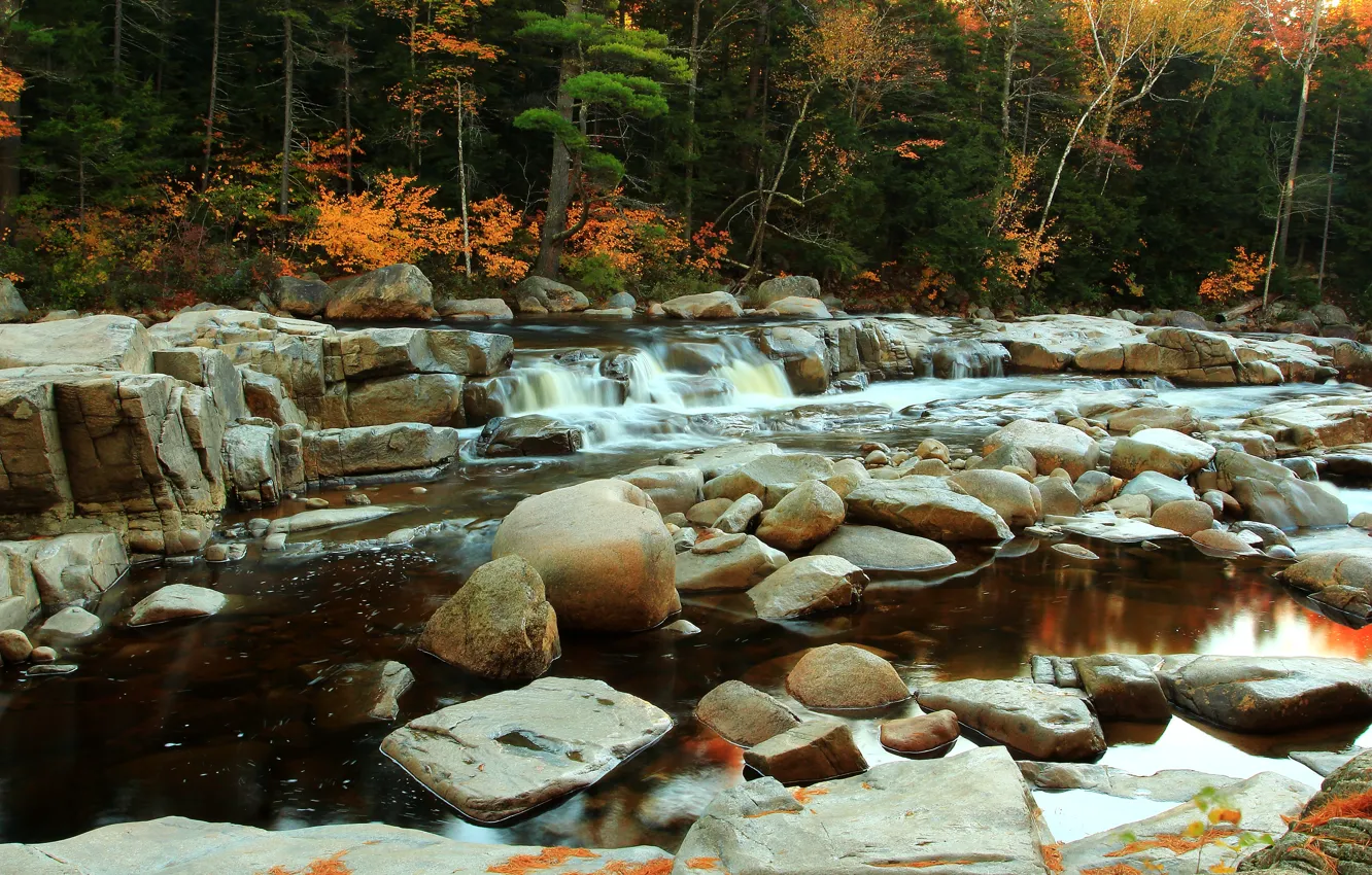 Фото обои осень, вода, деревья, река, камни, поток, river, trees