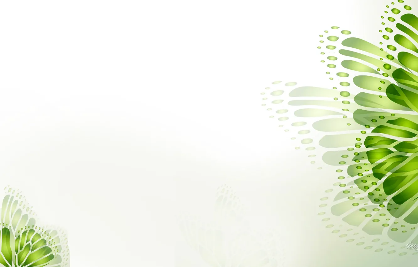 Фото обои узор, бабочка, крылья, минимализм