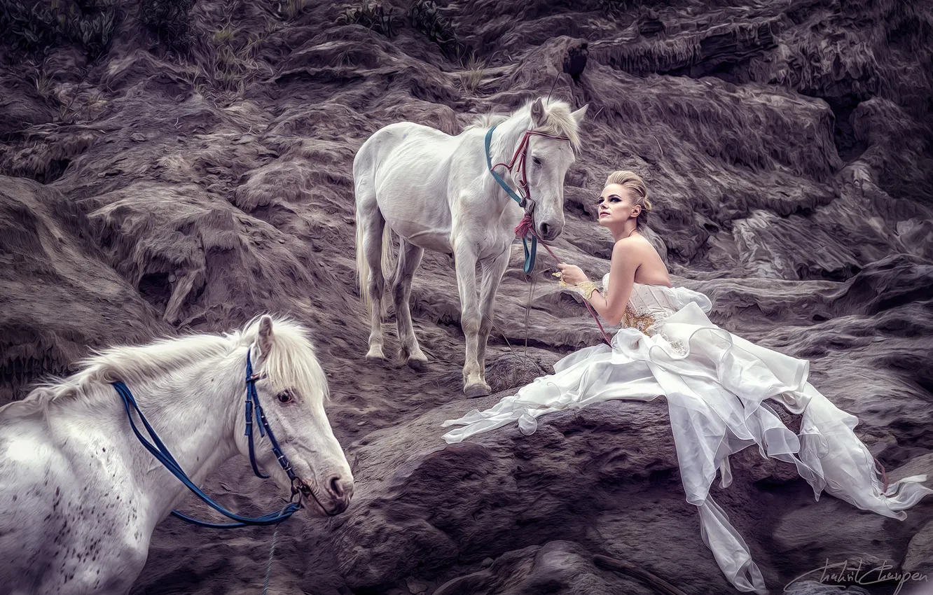 Фото обои девушка, фон, кони