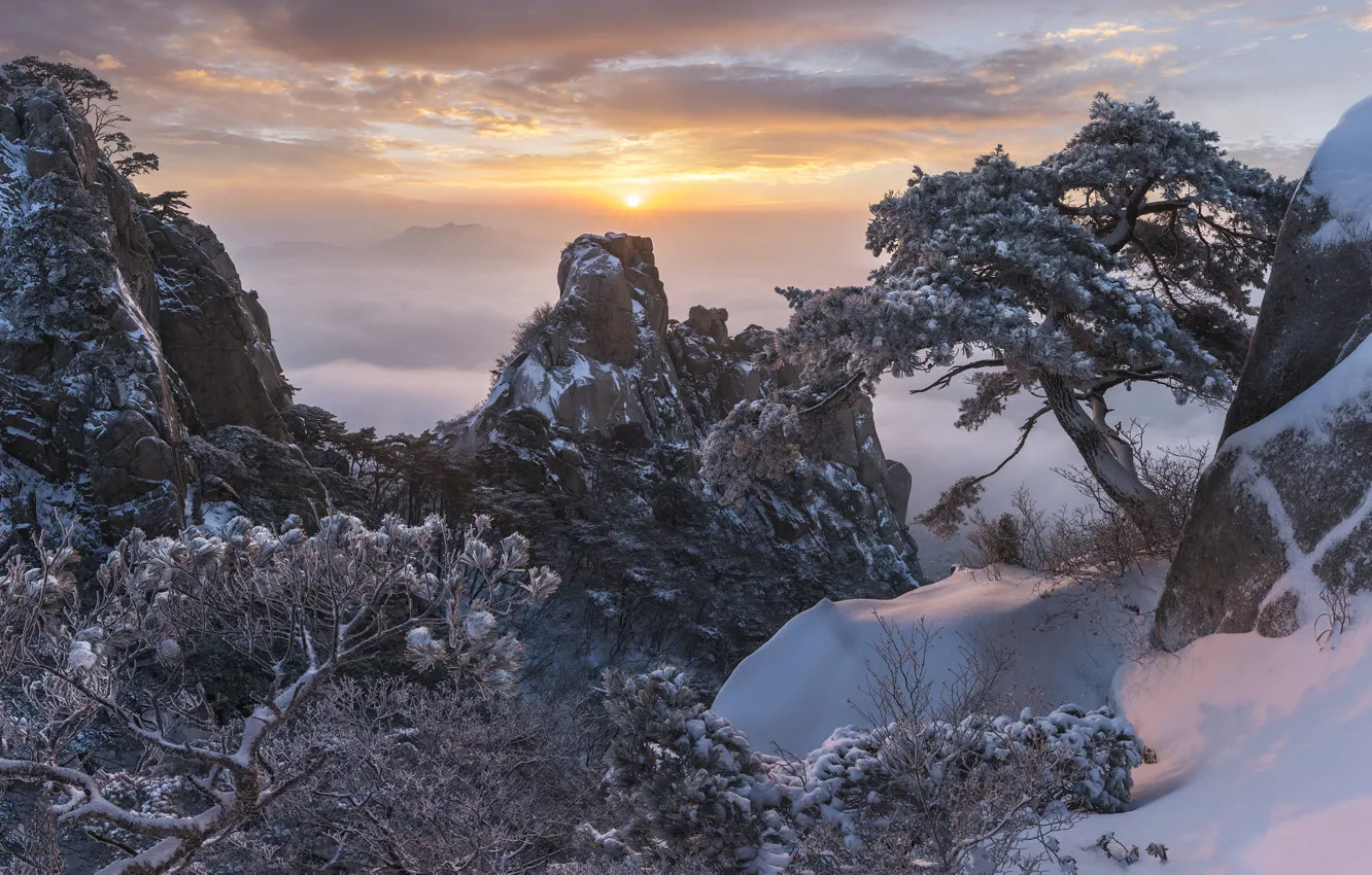 Фото обои зима, снег, деревья, пейзаж, горы, природа, туман, скалы