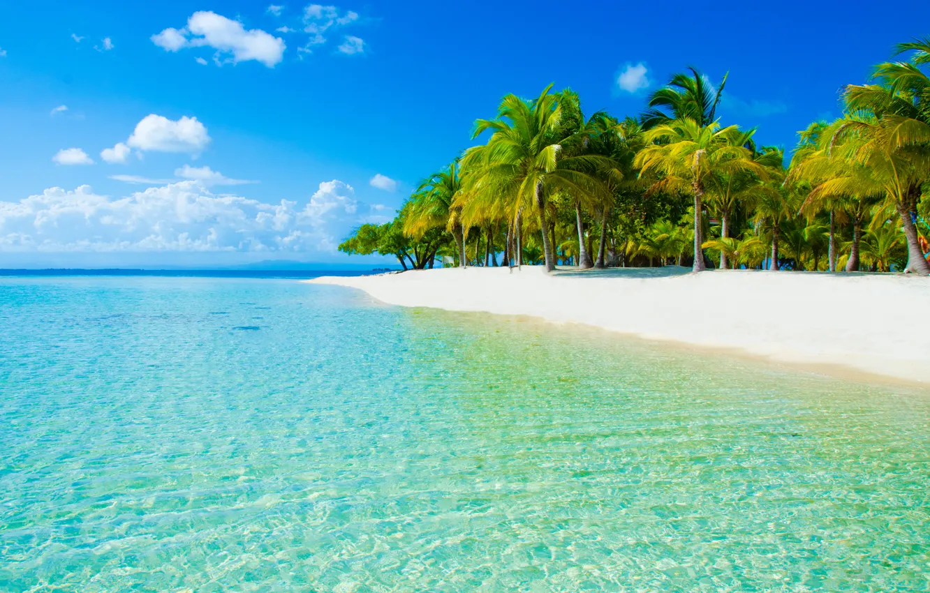 Фото обои песок, море, пляж, небо, облака, природа, пальмы