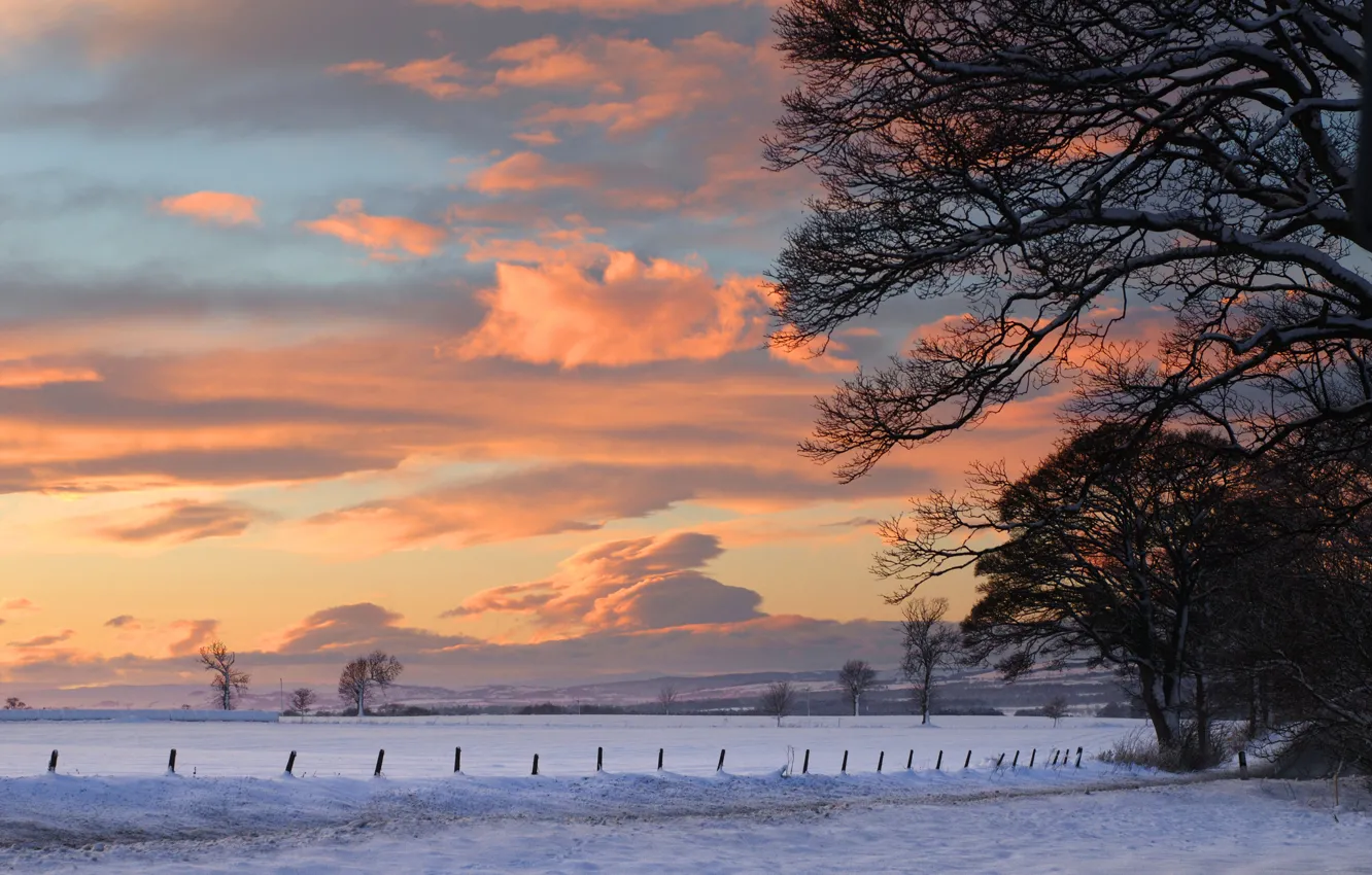 Фото обои зима, снег, деревья, пейзаж, закат, природа