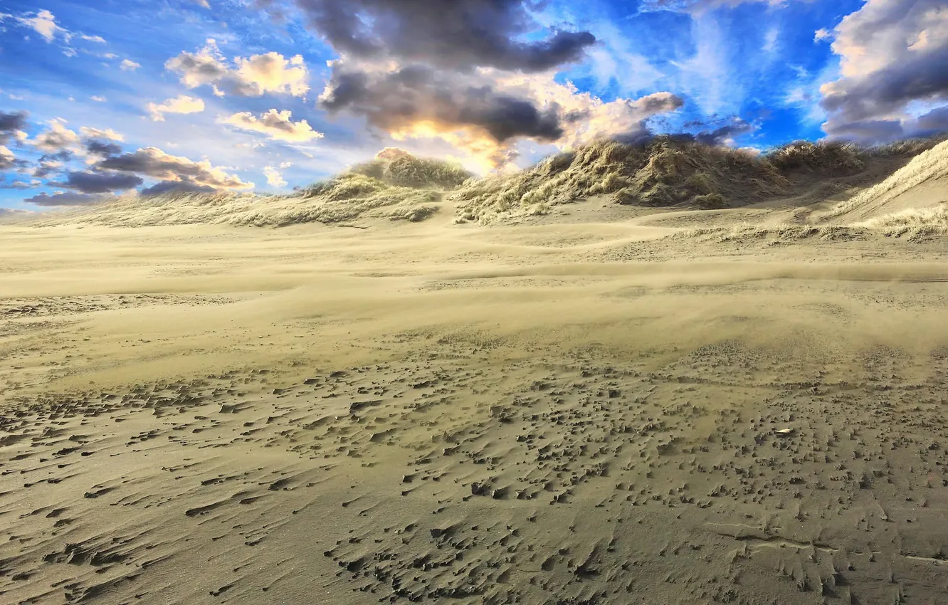 Фото обои песок, лето, дюны