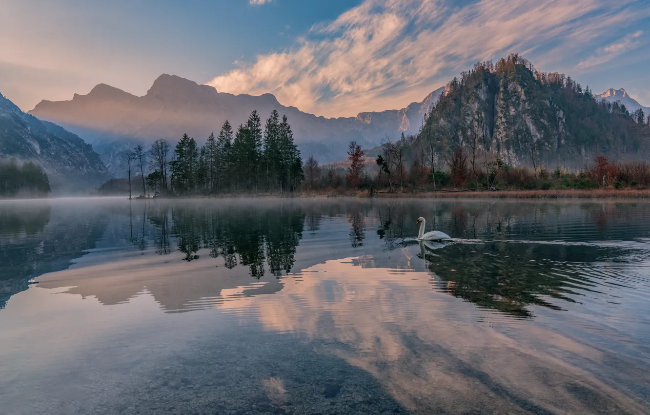Фото обои пейзаж, горы, природа, озеро, отражение, Австрия, лебедь, Almsee