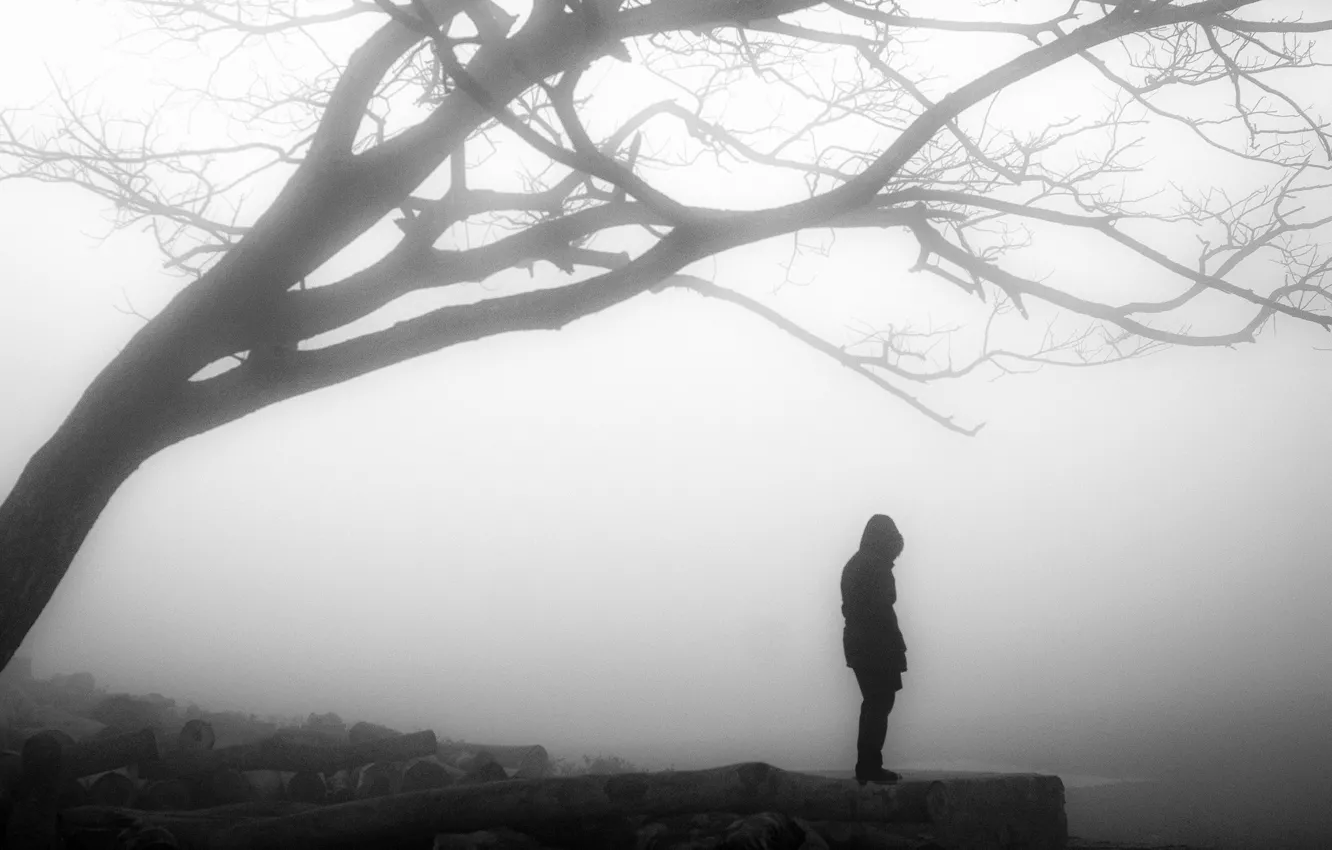 Фото обои misty, tree, solitude, loneliness, branches, person, foggy, gloomy