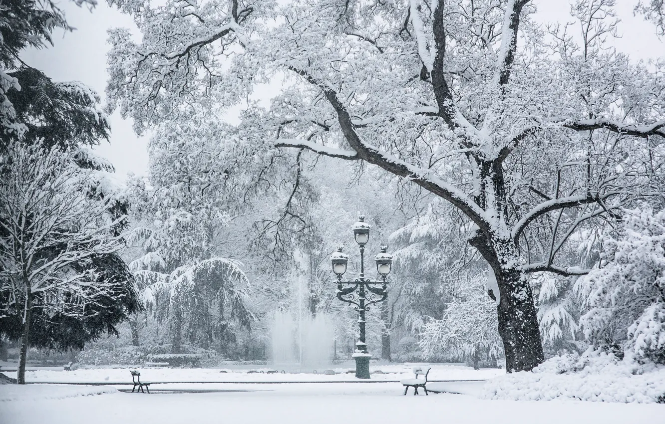 Фото обои холод, зима, снег, деревья, скамейка, лампа, площадь, фонтан