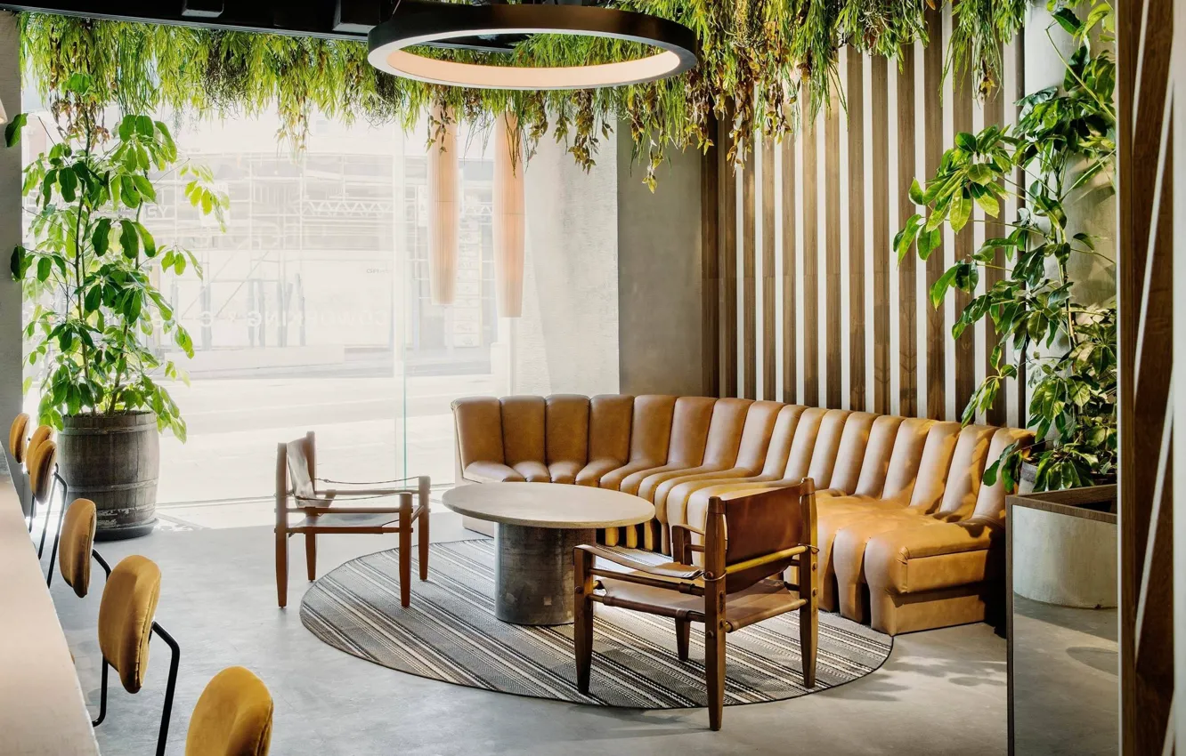 Фото обои интерьер, растения, Испания, Spain, Madrid, Мадрид, by Madrid in Love Studio, warm office space