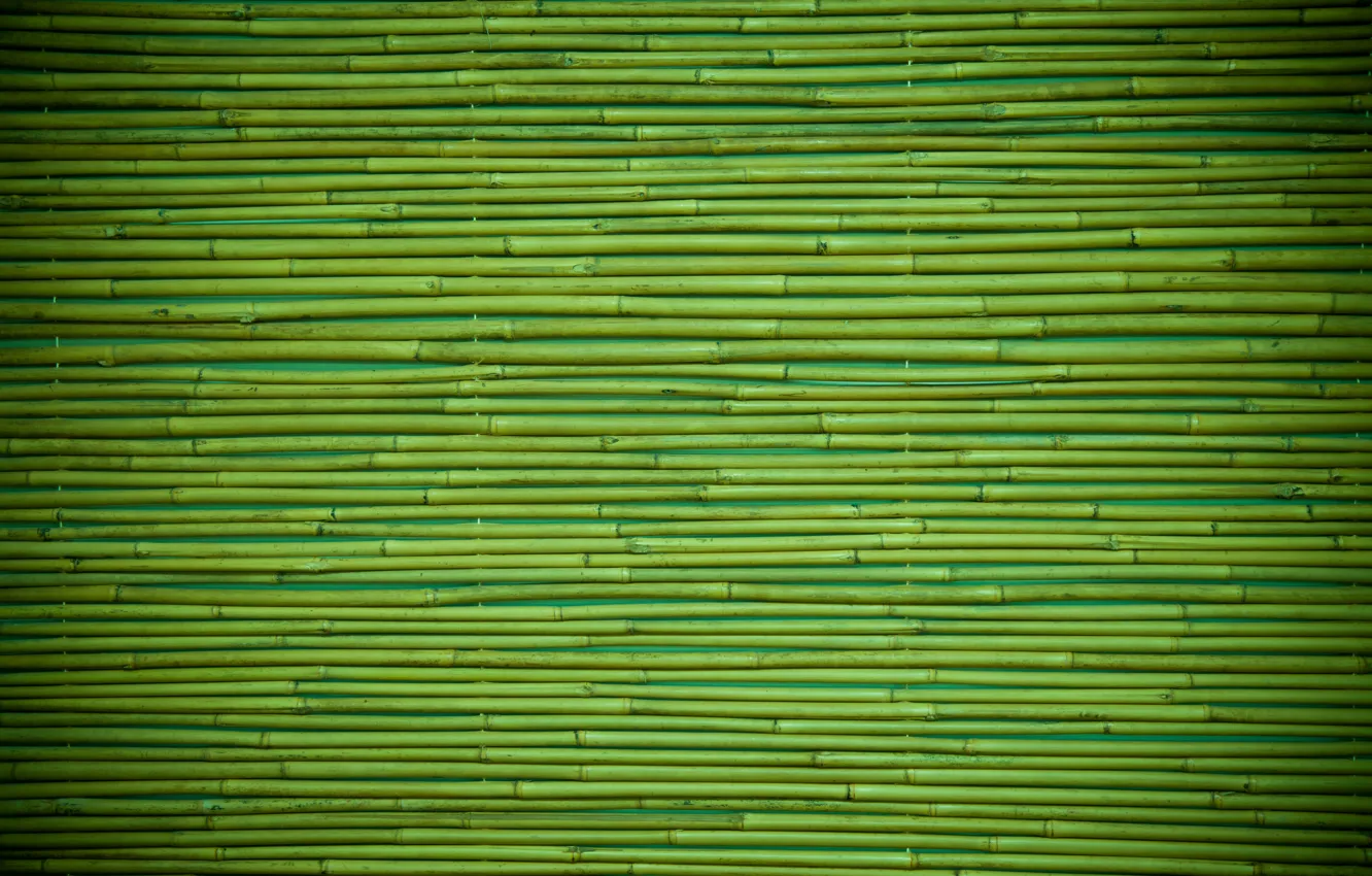 Фото обои green, wood, pattern, bamboo