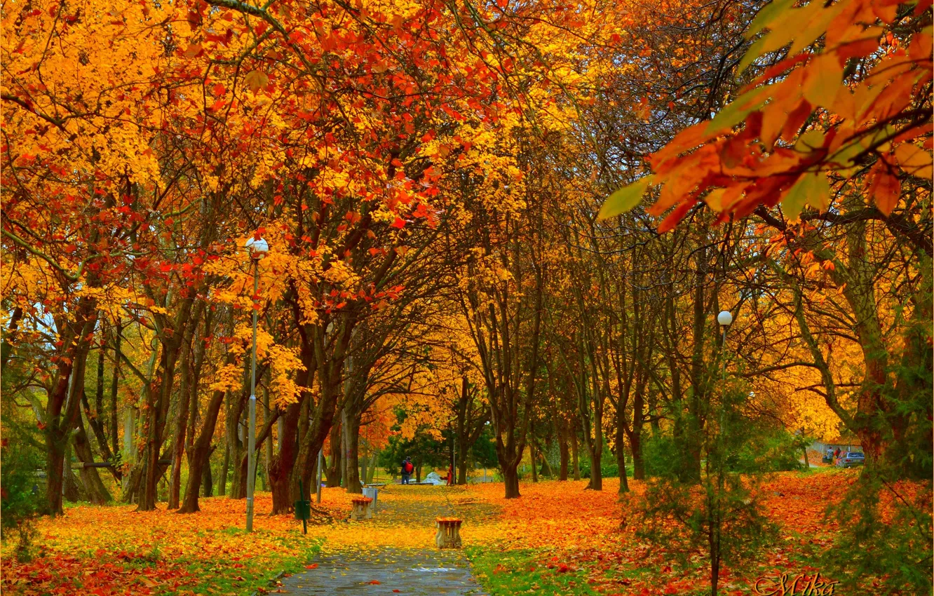 Фото обои Осень, Деревья, Фонари, Парк, Fall, Park, Autumn, Colors
