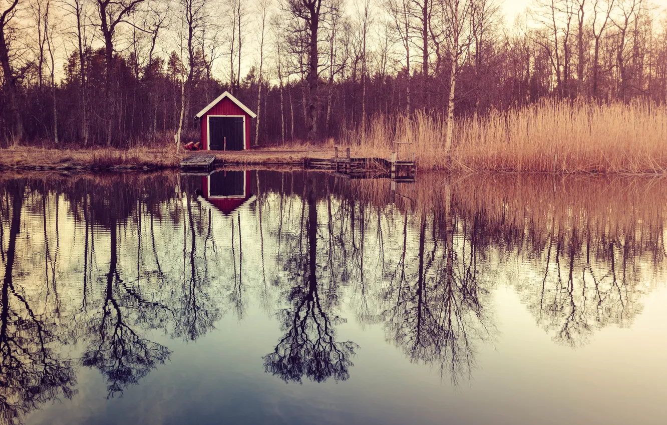 Фото обои деревья, озеро, отражение, лодки, trees, lake, reflection, boats