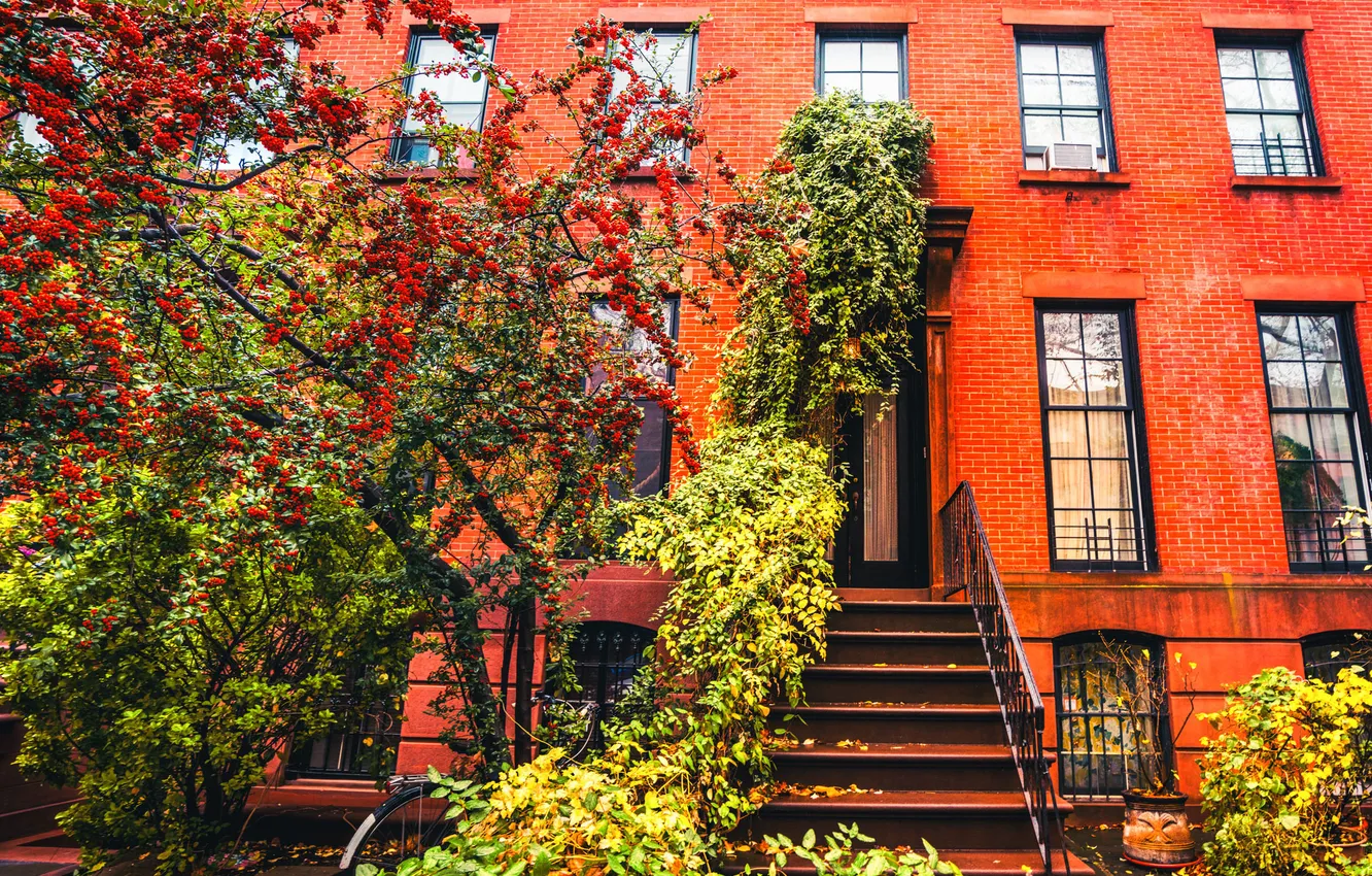 Фото обои осень, велосипед, дерево, Нью-Йорк, Бруклин, тротуар, Соединенные Штаты, коричневого