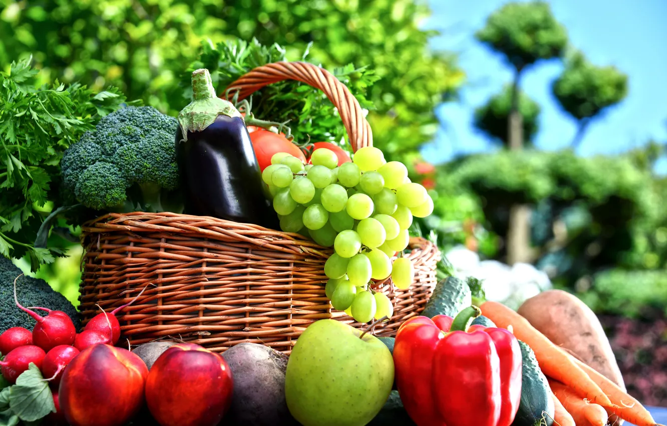 Фото обои зелень, фон, корзина, яблоко, виноград, баклажан, перец, фрукты