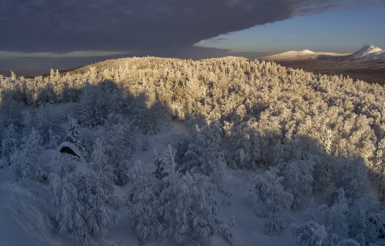 Фото обои зима, лес, снег, национальный парк, Таганай, Чёрная скала