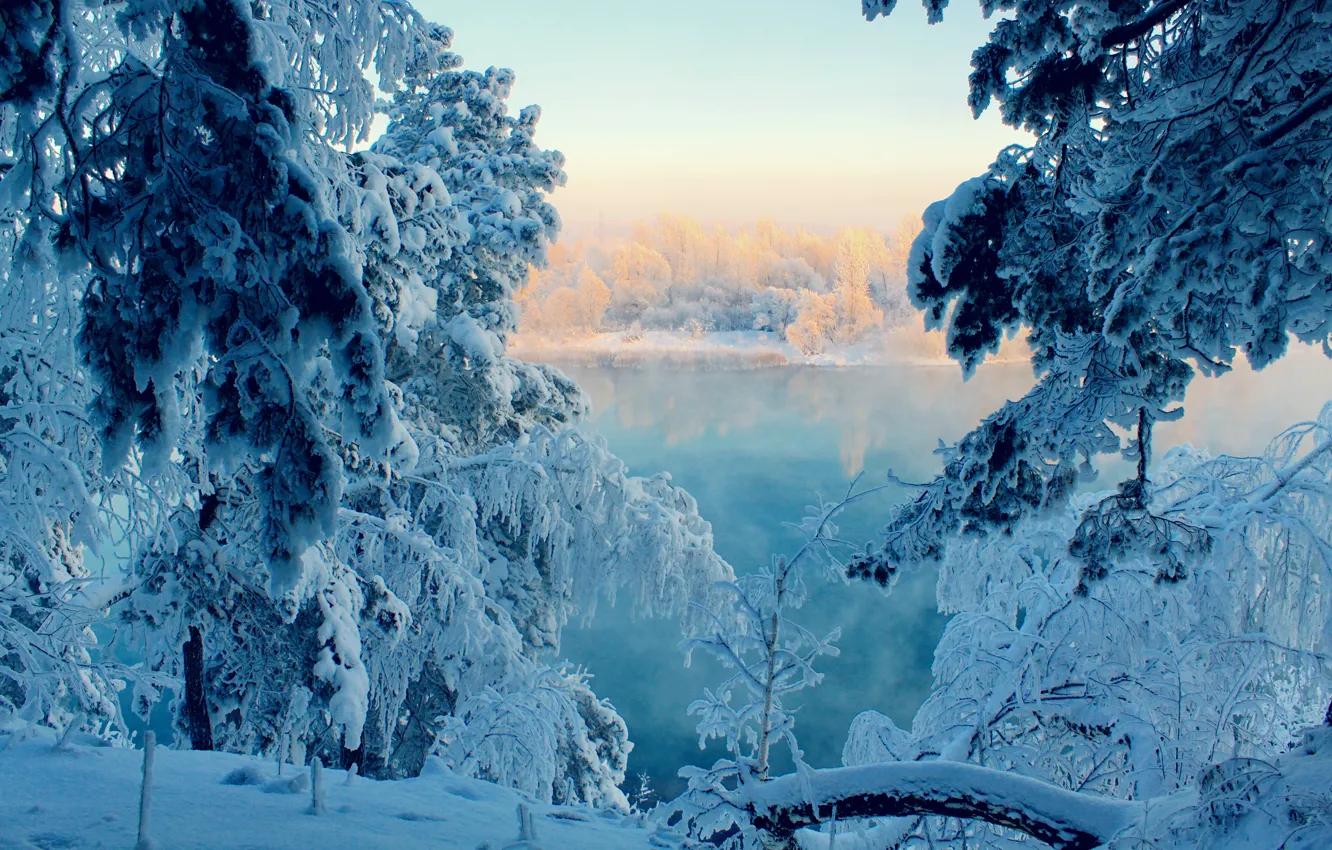 Фото обои зима, лес, снег, сказка