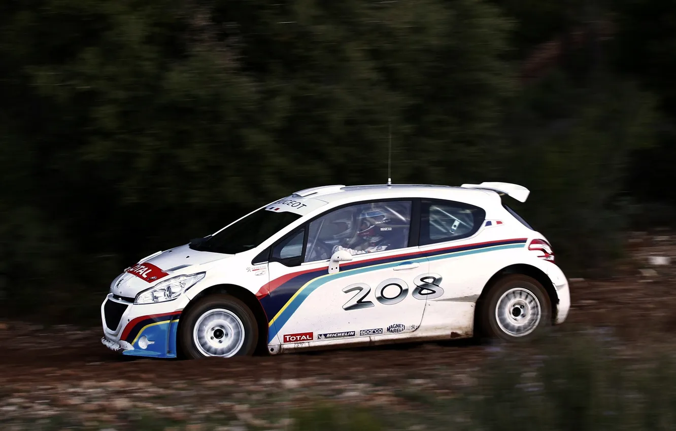 Фото обои Авто, Белый, Скорость, Peugeot, Rally, Ралли, 208