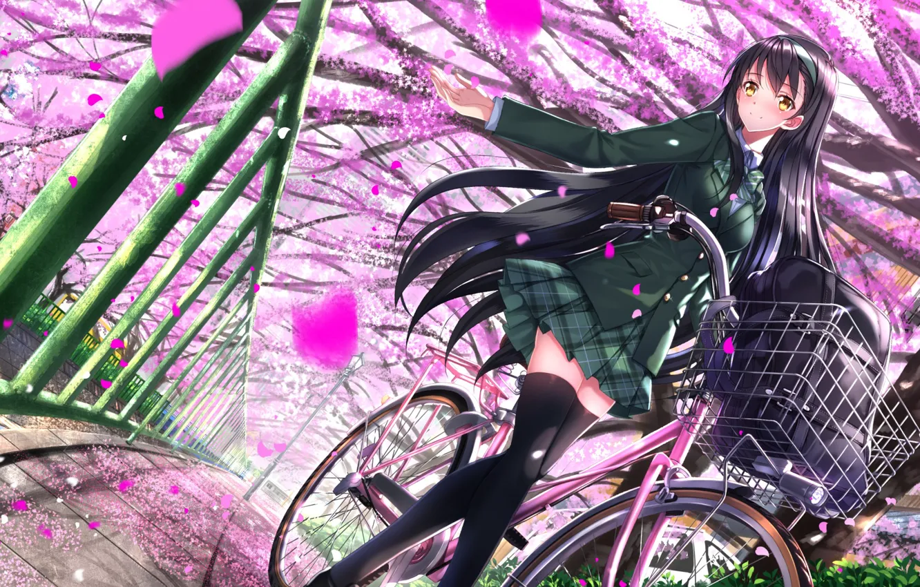 Фото обои девушка, деревья, велосипед, аниме, лепестки, сакура, арт, форма