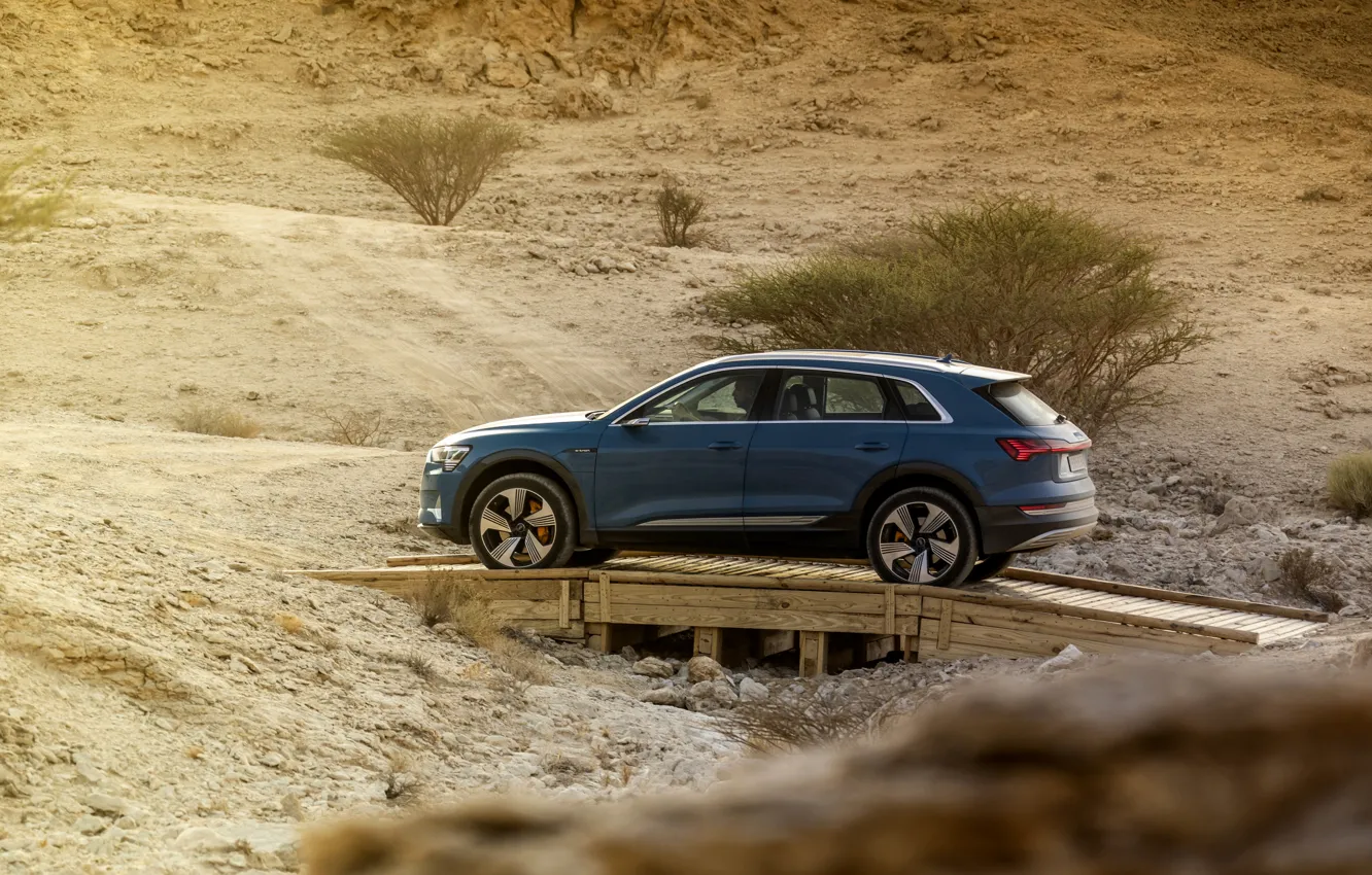 Фото обои синий, Audi, кустарник, E-Tron, 2019