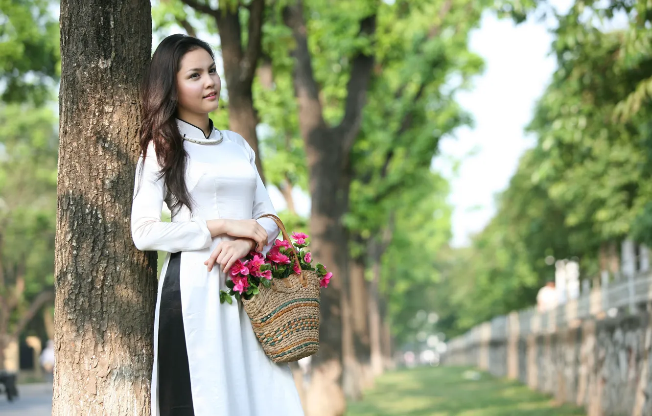 Фото обои девушка, цветы, корзина, платье, азиатка, вьетнамка