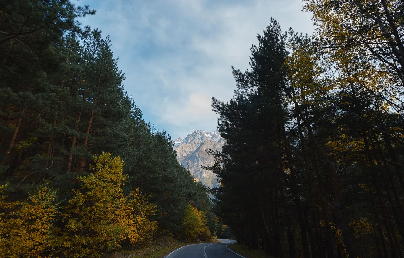 Фото обои пейзаж, природа, Батраз Табуев, дорога в горы
