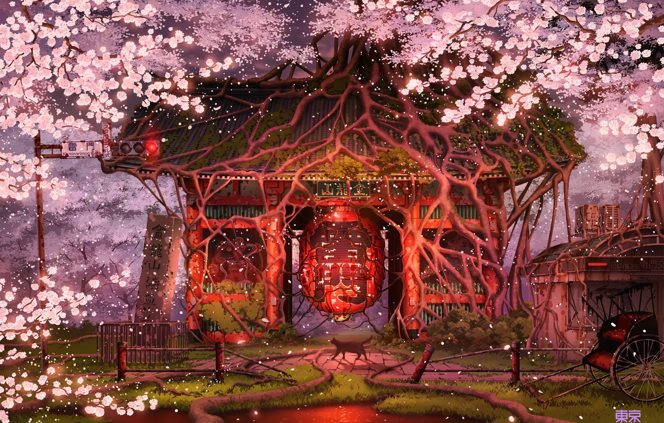 Фото обои Япония, фонарь, коляска, храм, святилище, черная кошка, заброшенная зона, цветение сакуры