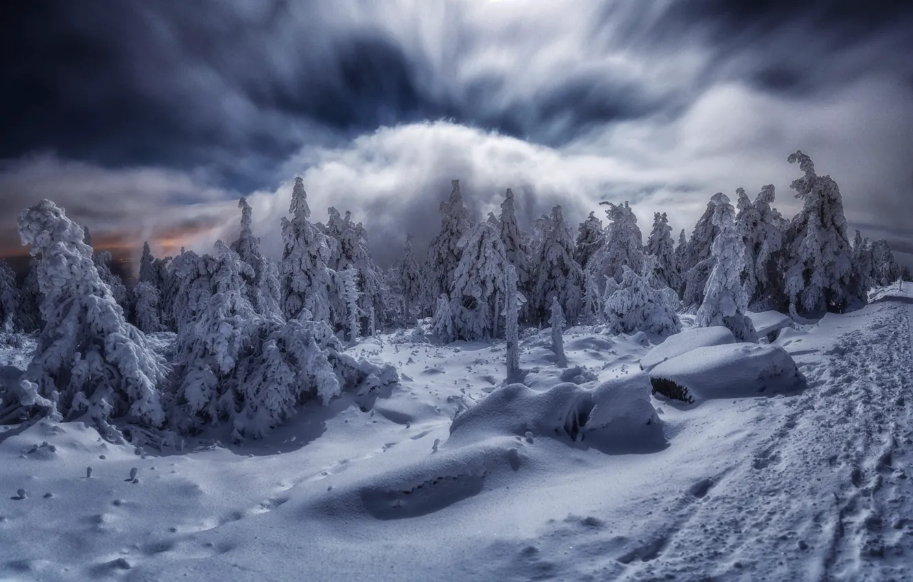 Фото обои зима, облака, снег, деревья, пейзаж, горы, природа, Германия