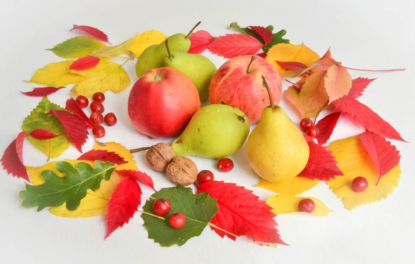 Фото обои осень, листья, ягоды, яблоко, груша, орехи, натюрморт