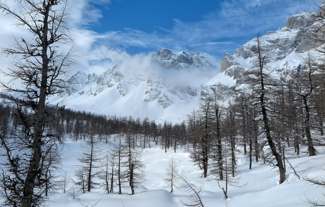 Фото обои зима, небо, снег, деревья, пейзаж, горы