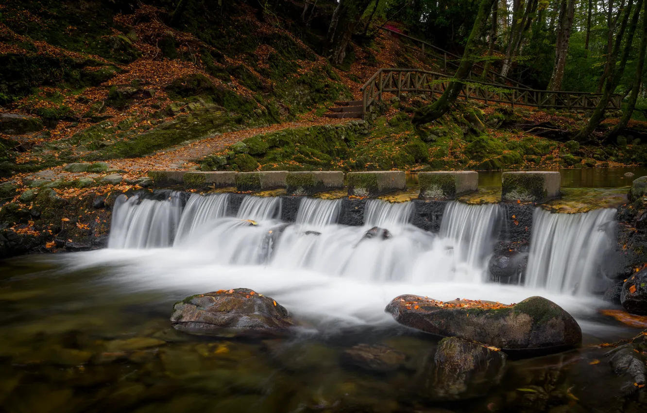 Фото обои осень, лес, камни, водопад