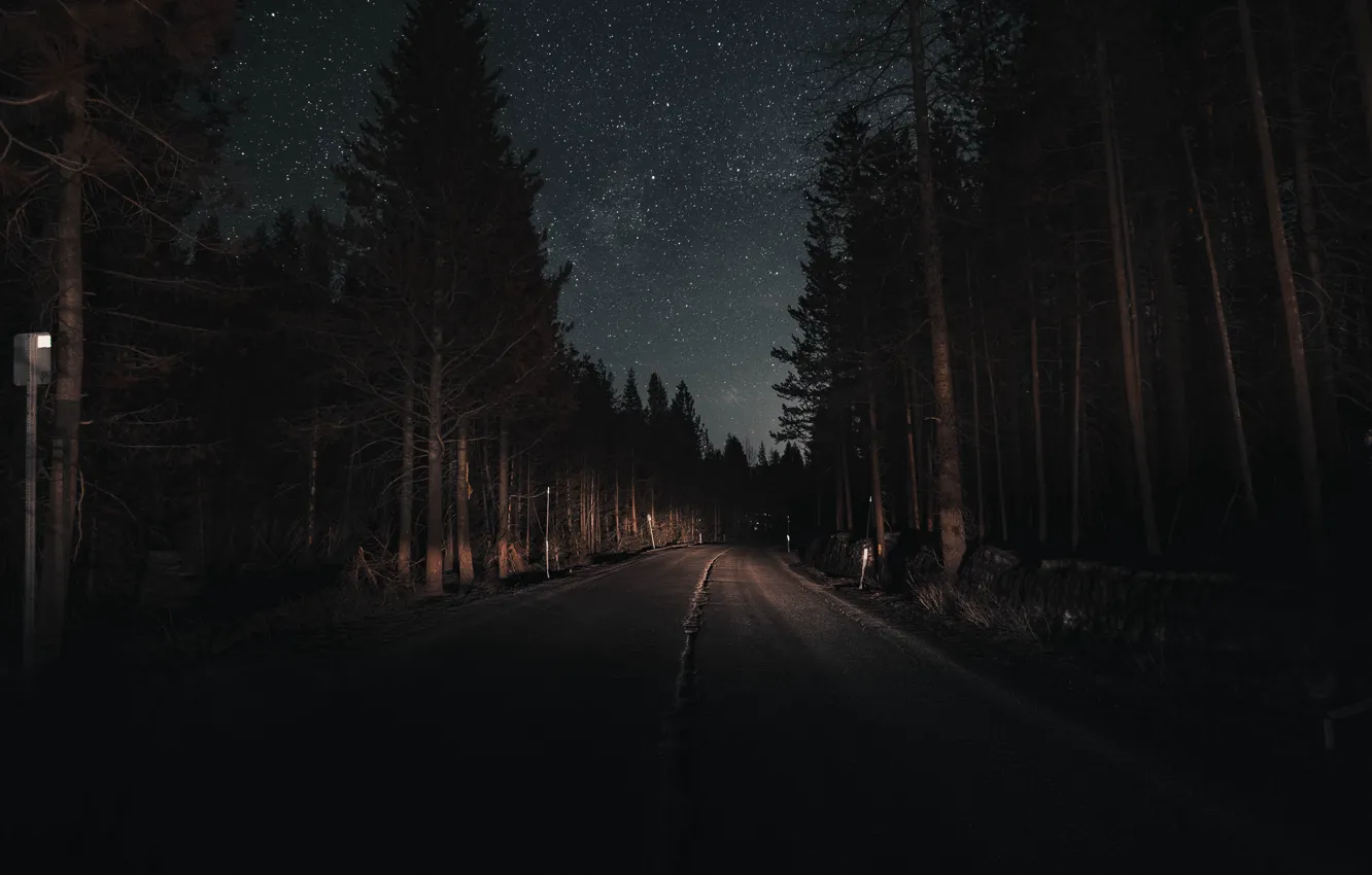 Фото обои дорога, лес, небо, свет, деревья, ночь, звёзды, сосны