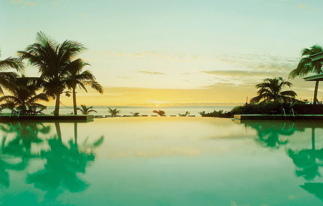 Фото обои пальмы, океан, бассейн