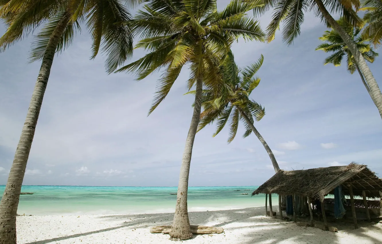 Фото обои песок, море, пальмы, берег