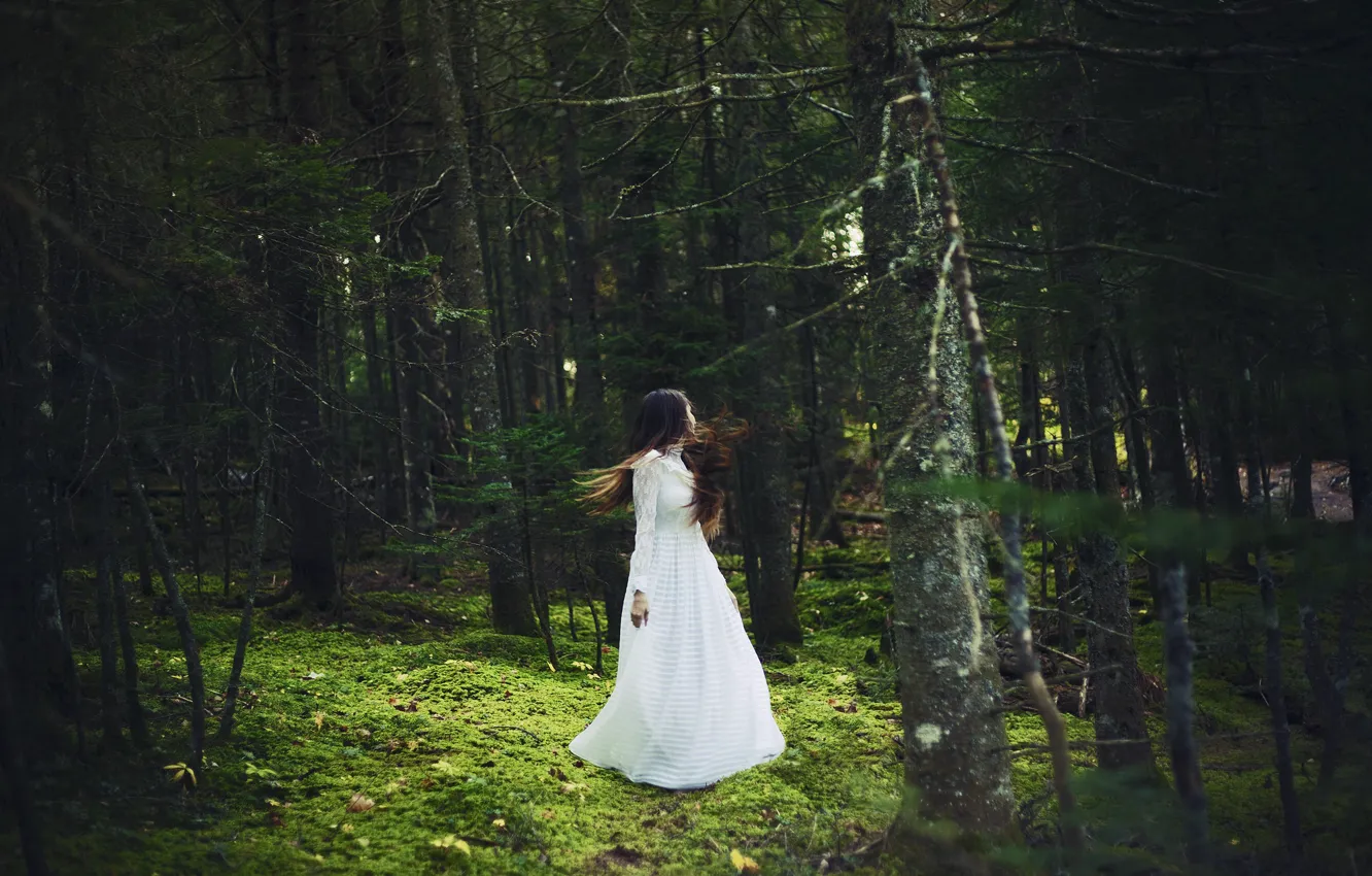 Фото обои лес, девушка, белое платье, кружится