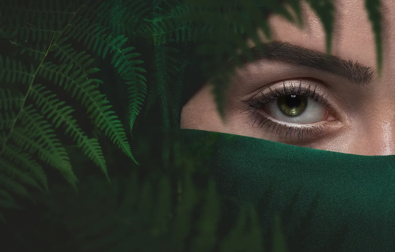 Фото обои девушка, зеленый, глаз, папоротник, бровь