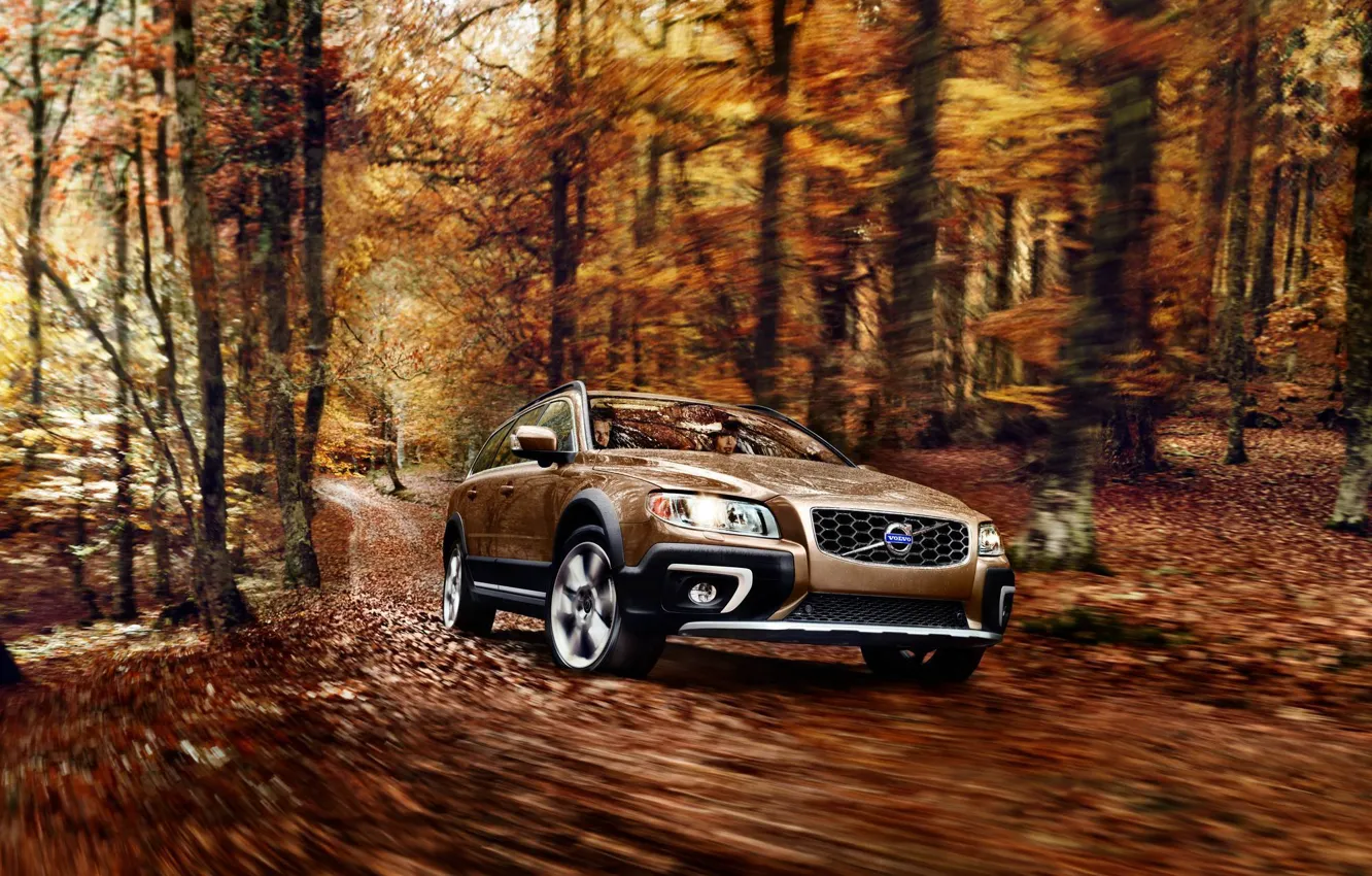Фото обои Осень, Volvo, Деревья, Лес, Листва, Cars, XC70