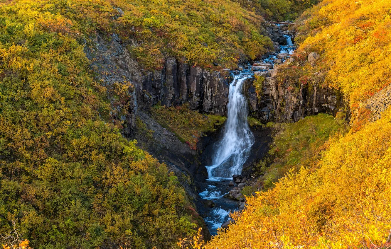Фото обои Природа, Осень, Исландия, Iceland, Vatnajokull National Park, Waterfall Skaftafell, Водопад Скафтафелл, национальный парк Ватнайокудль