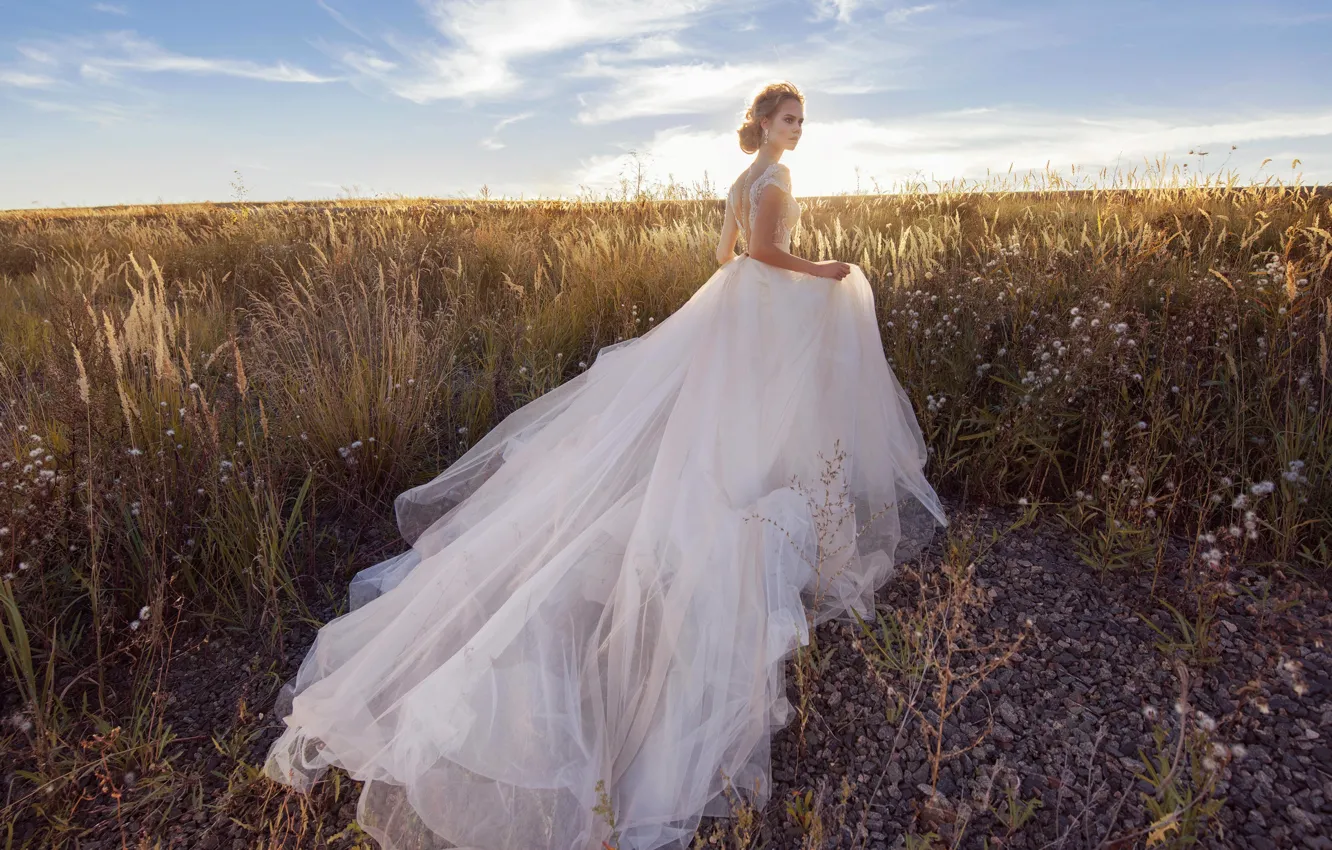 Фото обои поле, трава, стиль, модель, платье, невеста