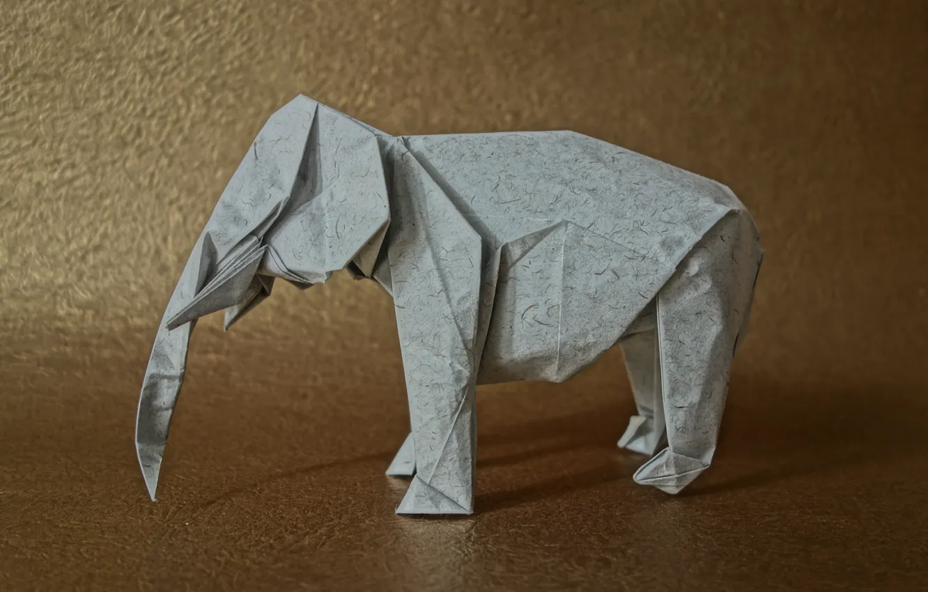 Фото обои бумага, фон, слон, оригами