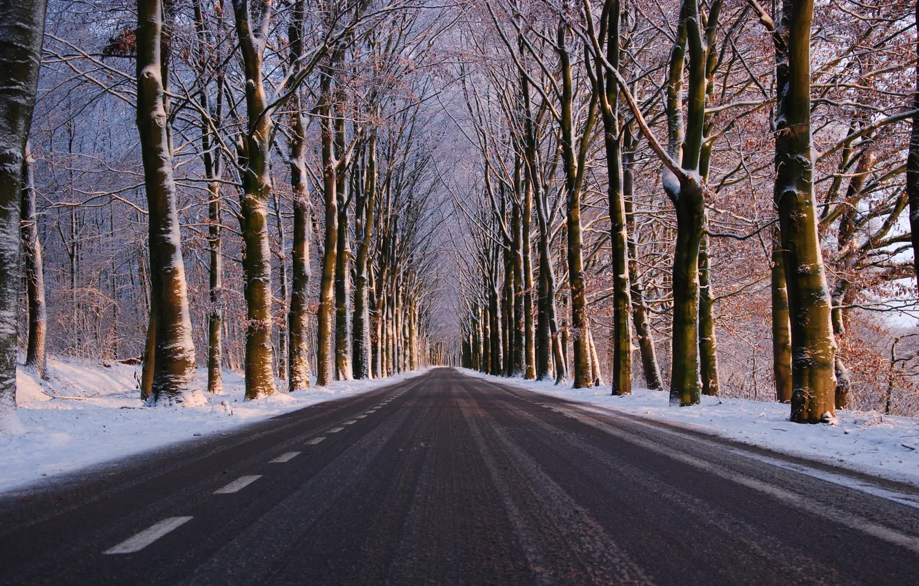 Фото обои зима, дорога, лес, небо, асфальт, снег, деревья, пейзаж