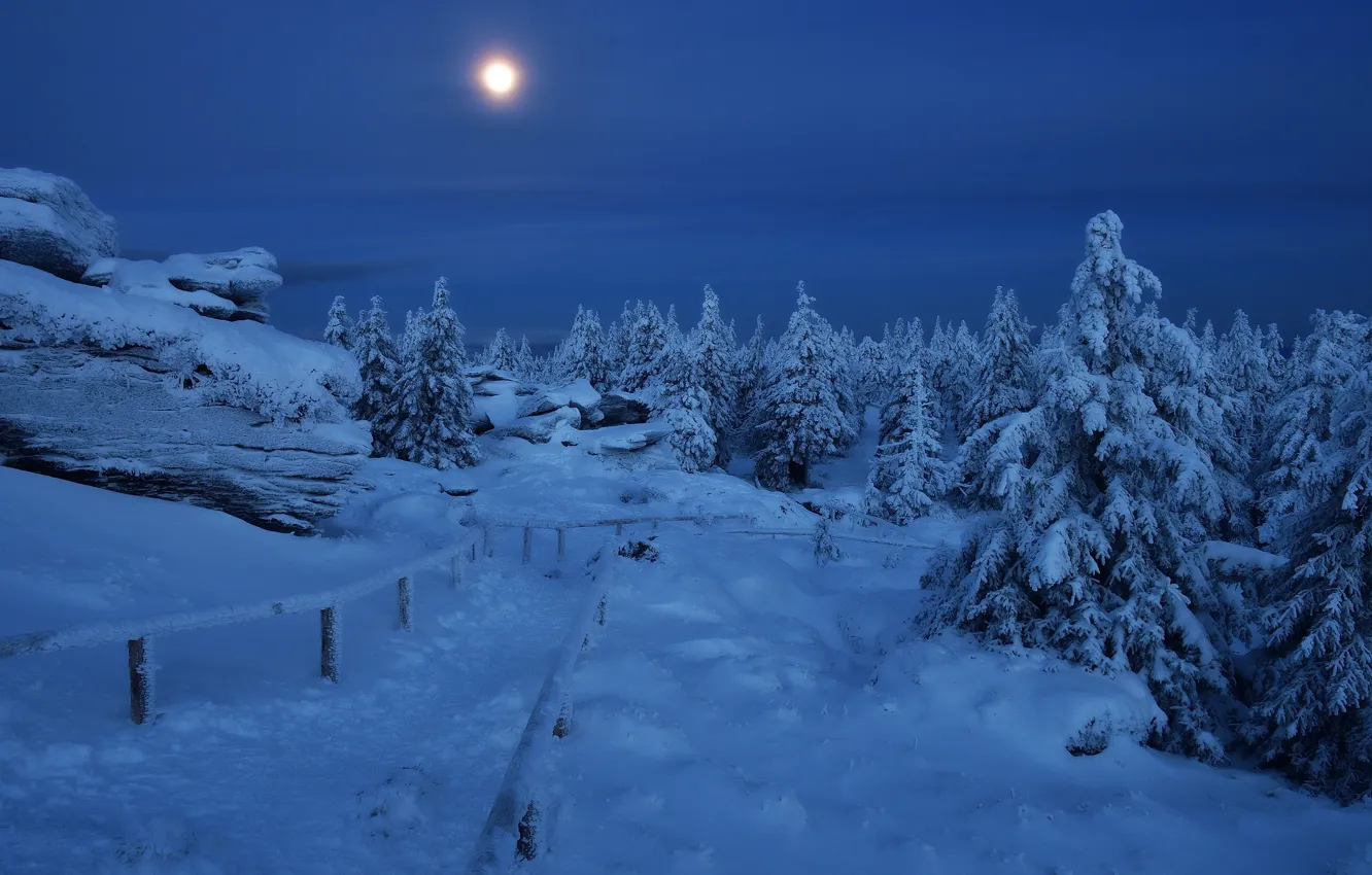 Фото обои зима, снег, деревья, пейзаж, горы, ночь, природа, камни